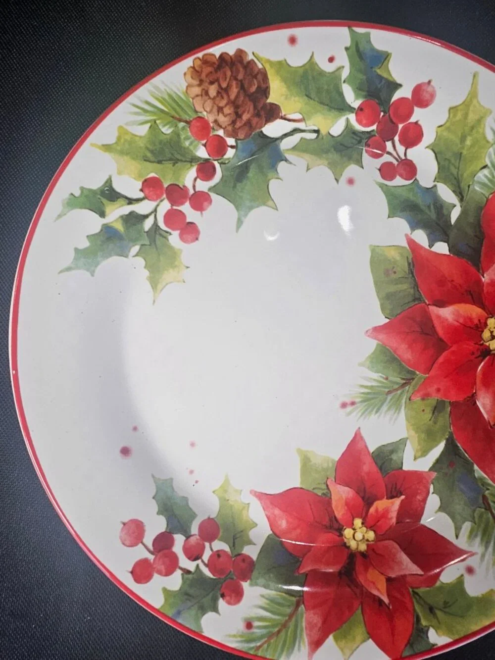 NWT Pier One By World Market 4 Piece Christmas Poinsettia Luncheon Plates